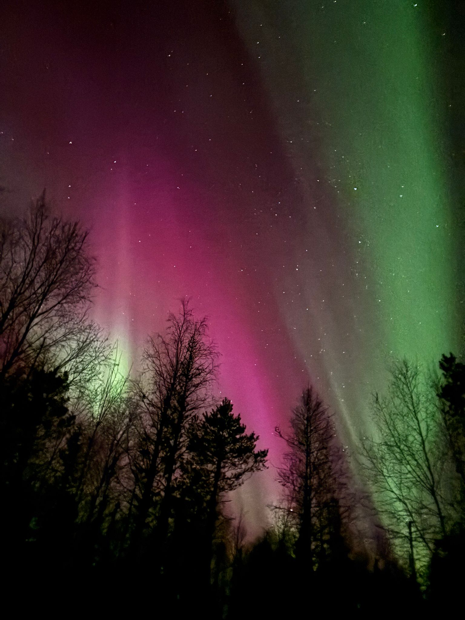 Aurora